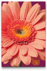 Festés számok szerint - Gerbera Méret: 40x60cm, Keretezés: Keret nélkül (csak a vászon)