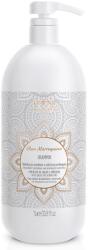  Sampon hidratant cu ulei marocan Amend Moroccan Oils Shampoo, 1000 ml