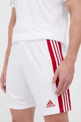 adidas Performance edzős rövidnadrág Squadra 21 fehér, GN5770 - fehér L