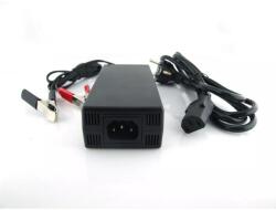 Liwer Electronic Redresor/Incarcator 12V 10A pentru Baterii cu Plumb Sigilate, Tip VRLA, SLA, AGM, GEL (12V 10A)