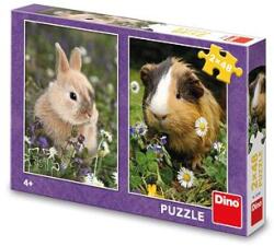Dino Puzzle Dino Rabbit and the Guinea 2x48 de piese (381681) Puzzle