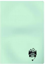 DACO Caiet A4 60 file DACO, coperta plastic, matematica, 70g/mp, Verde pastel (CT461AR/VERDEPASTEL)