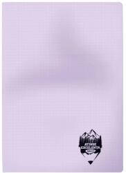 DACO Caiet A4 60 file DACO, coperta plastic, matematica, 70g/mp, Mov pastel (CT461AR/MOVPASTEL)