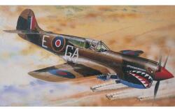 Směr Direcția CURTISS P - 40K/Kittyhawk Mk. III (0875)
