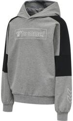 Hummel Hanorac cu gluga Hummel BOXLINE HOODIE 213376-2800 Marime XXS (111-116 cm)