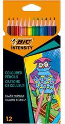 BIC Creioane colorate Intensity 3.2 mm 12 buc BIC (BIC9505273)