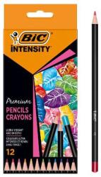 BIC Creioane color Intensity Premium lemn 3.3 mm 12 buc BIC (BIC9518441)