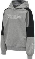 Hummel BOXLINE HOODIE Kapucnis melegítő felsők 213376-2800 Méret XS (129-134 cm) (213376-2800)