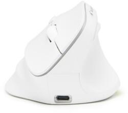 Bluestork M-WL-ERGO-LUMI-W Mouse