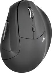 Bluestork M-WL-ERGO-LUMI-L Mouse