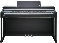 Kurzweil CUP P1 BP