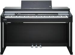 Kurzweil CUP P1 SR
