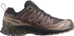 Salomon XA PRO 3D V9 GTX Terepfutó cipők l47583500 Méret 46, 7 EU