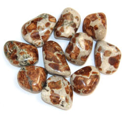  Granat Orange in Wollastonit Mineral Natural Rulat - 30-37 x 23-29 mm - ( XL ) - 1 Buc