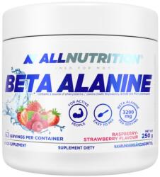 ALLNUTRITION Beta-Alanine Endurance MAX [250 грама] Малина и ягода