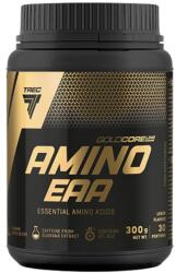 Trec Nutrition Gold Core Amino EAA | Essential Amino Acids [300 грама] Ябълка