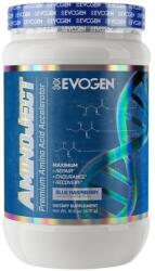 Evogen Nutrition AminoJect | Premium Amino Acid Formula [470 грама] Синя малина