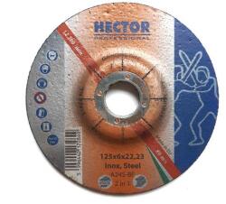 HECTOR H 125x6 A24S-BF 2in1 Hector (egyéb inox tisztítókorong) Hector 36010251