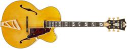 D´Angelico Excel EXL-1 Amber