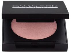 Camaleon highlighter pink 2, 5g