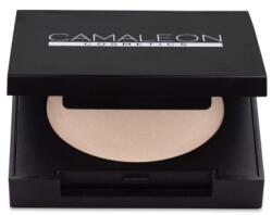 Camaleon highlighter fehér 2, 5g