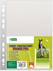 ECONOMIX File protectie transparente, 30 microni, 100 buc/set, ECONOMIX (PY3110650)