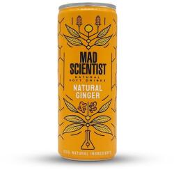 Mad Scientist Natural Ginger | Mad Scientist| 0, 25L