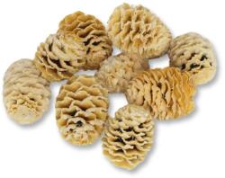  Meridianum fehérített termés csomag 10db/csomag