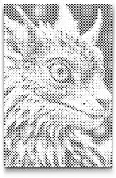  PontPöttyöző - Sárkánykölyök Méret: 20x30cm, Keretezés: Kartonlemezen, Szín: Piros