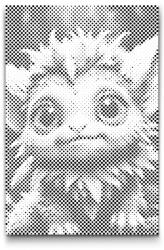  PontPöttyöző - Aranyos szörny a mitikus erdőből 2 Méret: 40x60cm, Keretezés: Műanyagtáblával, Szín: Fekete