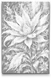  PontPöttyöző - Varázslatos virág Méret: 20x30cm, Keretezés: Keret nélkül (csak a vászon), Szín: Fekete