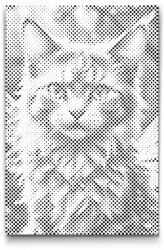  PontPöttyöző - Mágikus szárnyas macska Méret: 20x30cm, Keretezés: Műanyagtáblával, Szín: Kék