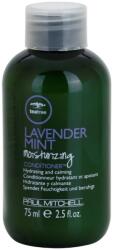 Paul Mitchell Tea Tree Lavender Mint Balsam hidratant si calmant pentru par uscat si indisciplinat 75 ml