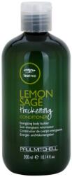 Paul Mitchell Tea Tree Lemon Sage balsam energizant densitatea parului 300 ml