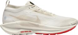 Nike Pegasus Trail 5 GORE-TEX Terepfutó cipők fq0908-100 Méret 42 EU