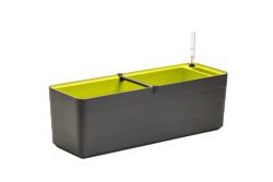 Plastia Berberis önöntöző balkonláda 80 cm antracit-zöld