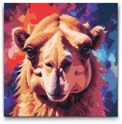Festés számok szerint - Teve piros és kék árnyalatokban Méret: 50x50cm, Keretezés: Kartonlemezen