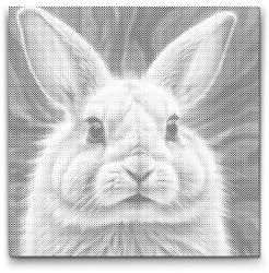 PontPöttyöző - Nyuszi rózsaszín árnyalatokban Méret: 50x50cm, Keretezés: Kerek keret, Szín: Kék