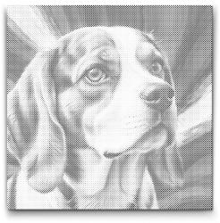 PontPöttyöző - Beagle vörös és kék árnyalatokban Méret: 50x50cm, Keretezés: Műanyagtáblával, Szín: Kék