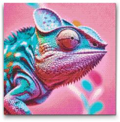 Gyémántszemes kirakó - Kaméleon rózsaszín árnyalatokban Méret: 50x50cm, Keretezés: Műanyagtáblával, Gyémántok: Kerek