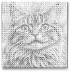  PontPöttyöző - Macska türkiz és narancs árnyalatokban Méret: 50x50cm, Keretezés: Kerek keret, Szín: Fekete