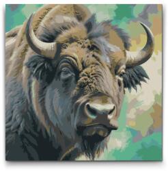 Festés számok szerint - Bölény tompa zöld árnyalatokban Méret: 50x50cm, Keretezés: Keret nélkül (csak a vászon)