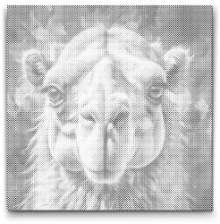  PontPöttyöző - Teve piros és kék árnyalatokban Méret: 50x50cm, Keretezés: Kerek keret, Szín: Fekete