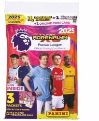 Panini Premier League 2024/2025 Starter Set (01-8010)