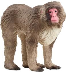 Schleich Figurina Schleich Wild Life - Macacul japonez (14871-78945) Figurina