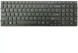 Sony Tastatura pentru Sony Vaio VPCEC1M1R standard US Mentor Premium