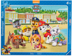 Ravensburger Puzzle Ravensburger de 37 piese - Portret de familie, Paw Patrol (06155) Puzzle