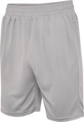 Hummel hmlTE FLEX MESH SHORTS Rövidnadrág 219175-1201 Méret M