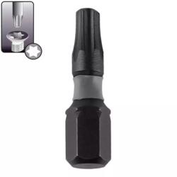 Dedra Torx csavarhúzóhegyek T25x25mm, 2 db 18A53T250-02 (18A53T250-02)