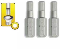 Dedra H6x25mm-es hatlapfejű csavarhegyek 18A04H60-03 (18A04H60-03)